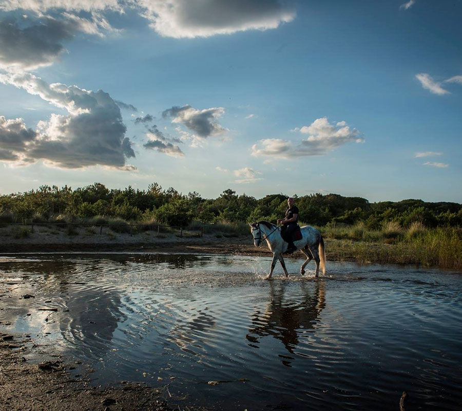 Agriturismo con cavalli in Maremma passeggiate individuali il Marciatoio