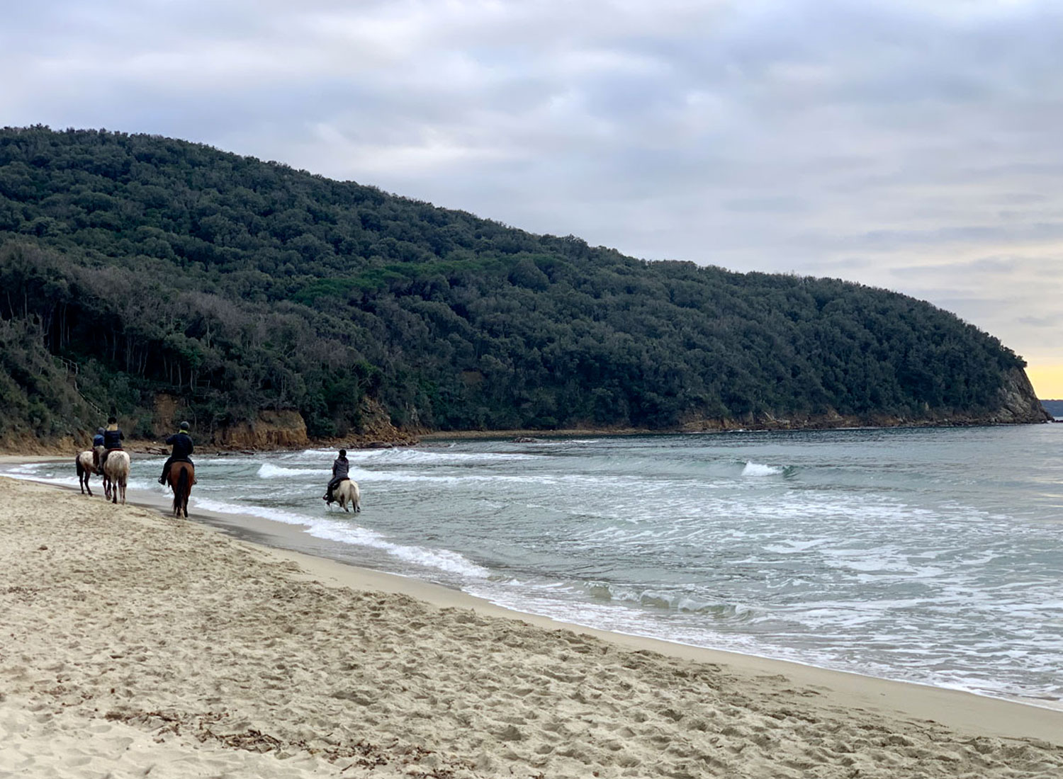 Agriturismo con cavalli in Maremma Agriturismo vicino Saturnia il Marciatoio