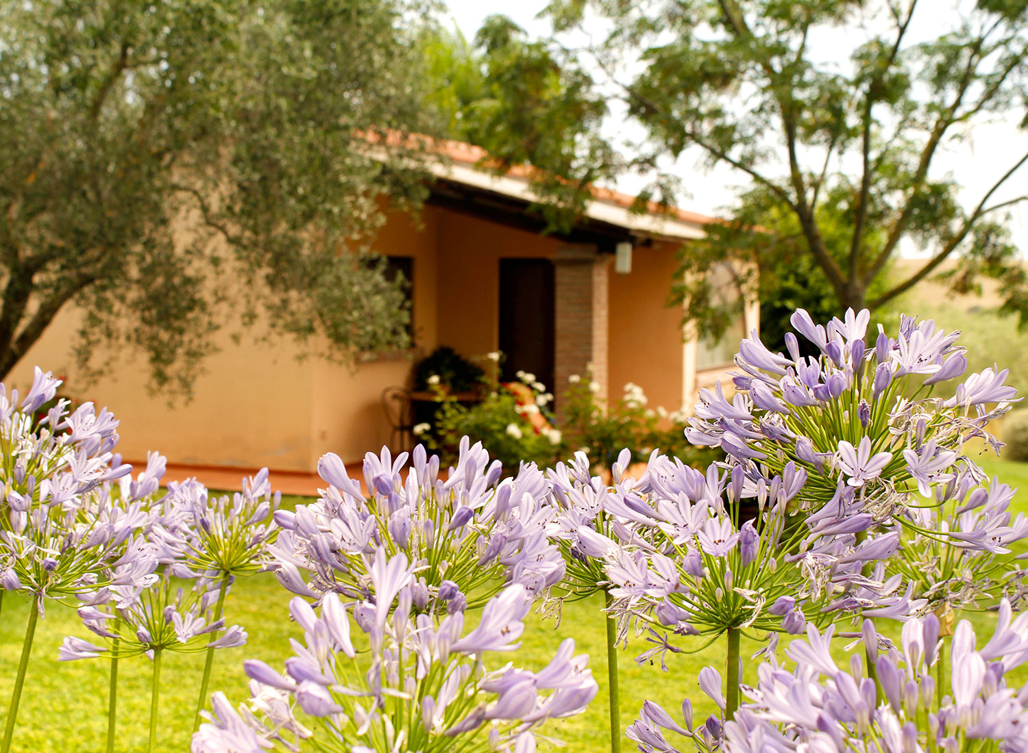 Esterni-Agriturismo-Maremma-Il-Marciatoio-vicino-Saturnia